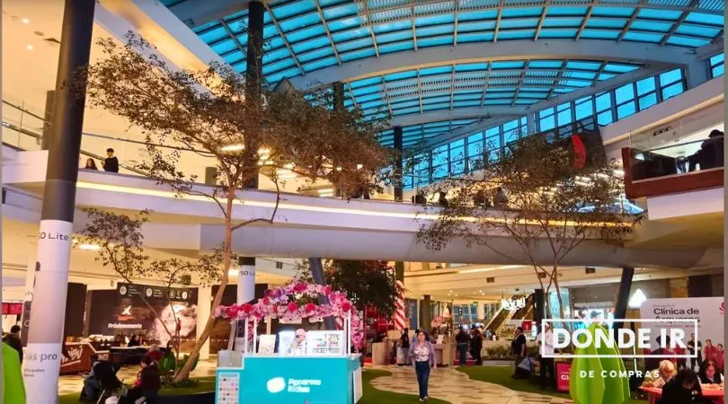 el mall mas grande de Chile